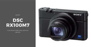 【作例あり】難あり SONY DSC-RX100m4 コンデジ RX100 RX100IV(DSC-RX100M4) 撮影サンプル | デジタルスチルカメラ